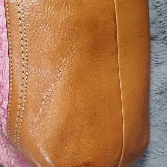 Signature Coach - Picture 6 of 14